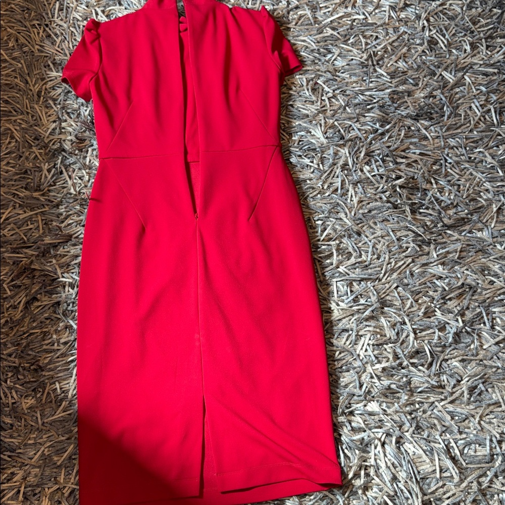 Maggy London Dress - Picture 4 of 6